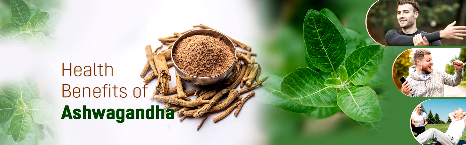 Ashwagandha powder benefits, Ashwagandha Health benefits, Ashwagandha pills, Ashwagandha benefits for men, Ashwagandha benefits for women, Ashwagandha side effects, Ashwagandha benefits for men sexually, Ashwagandha benefits for skin, Ashwagandha side effects for male, Ashwagandha side effects for female, Ashwagandha Various Benefits and effects, Ashwagandha can reduce anxiety and tension, Ashwagandha benefits sports and fitness performance, Does ashwagandha increase the fertility of men, Does Ashwagandha Boost Female Fertility